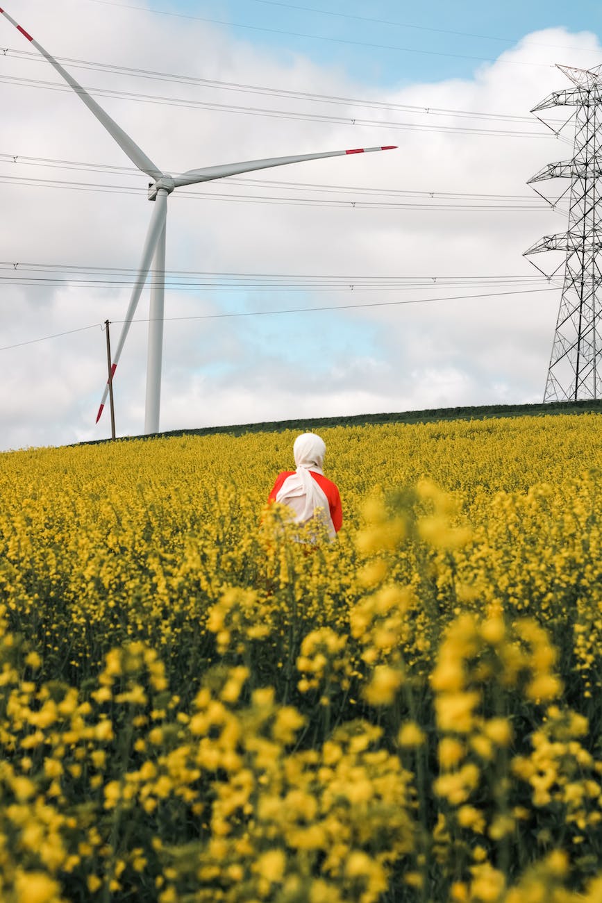 photo of a person standing in a field next to a wind turbine